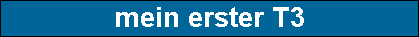 mein erster T3